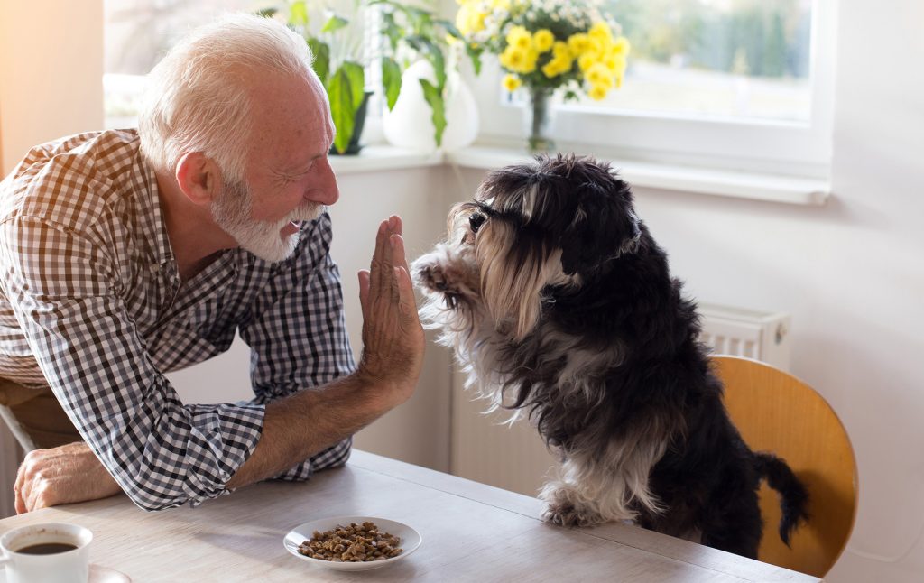 An active adult playing with a dog at our 55+ apartments in Minnetonka. The dog is giving a high five over a bowl of food.