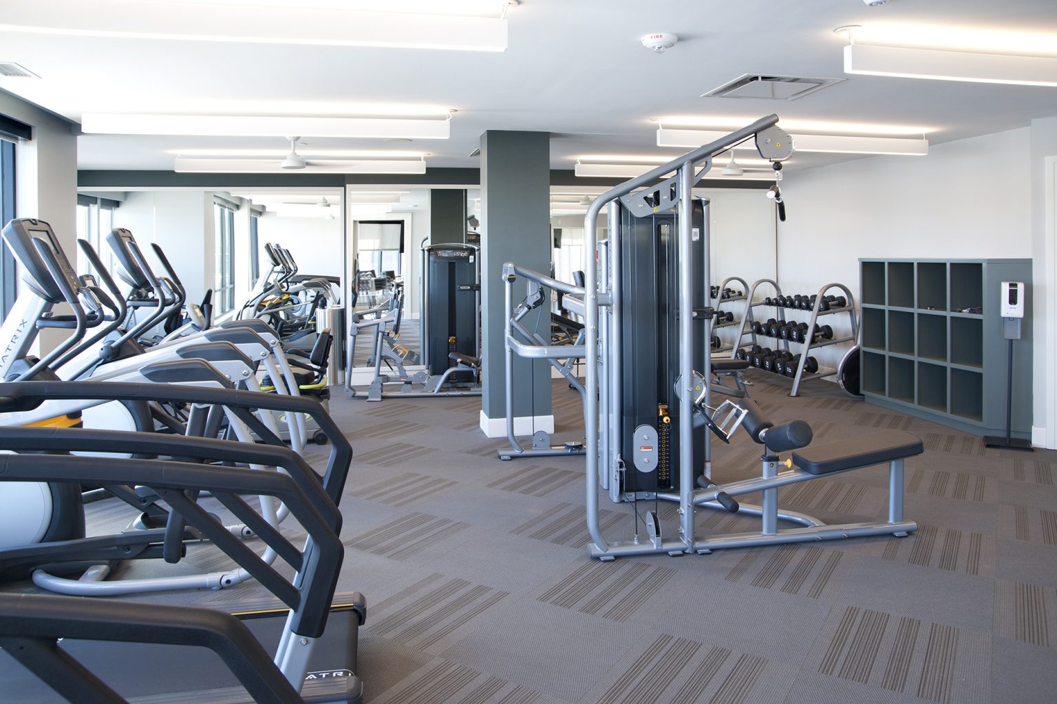 Luxury Pet Friendly Apartments in Omaha, NE Avidor Omaha